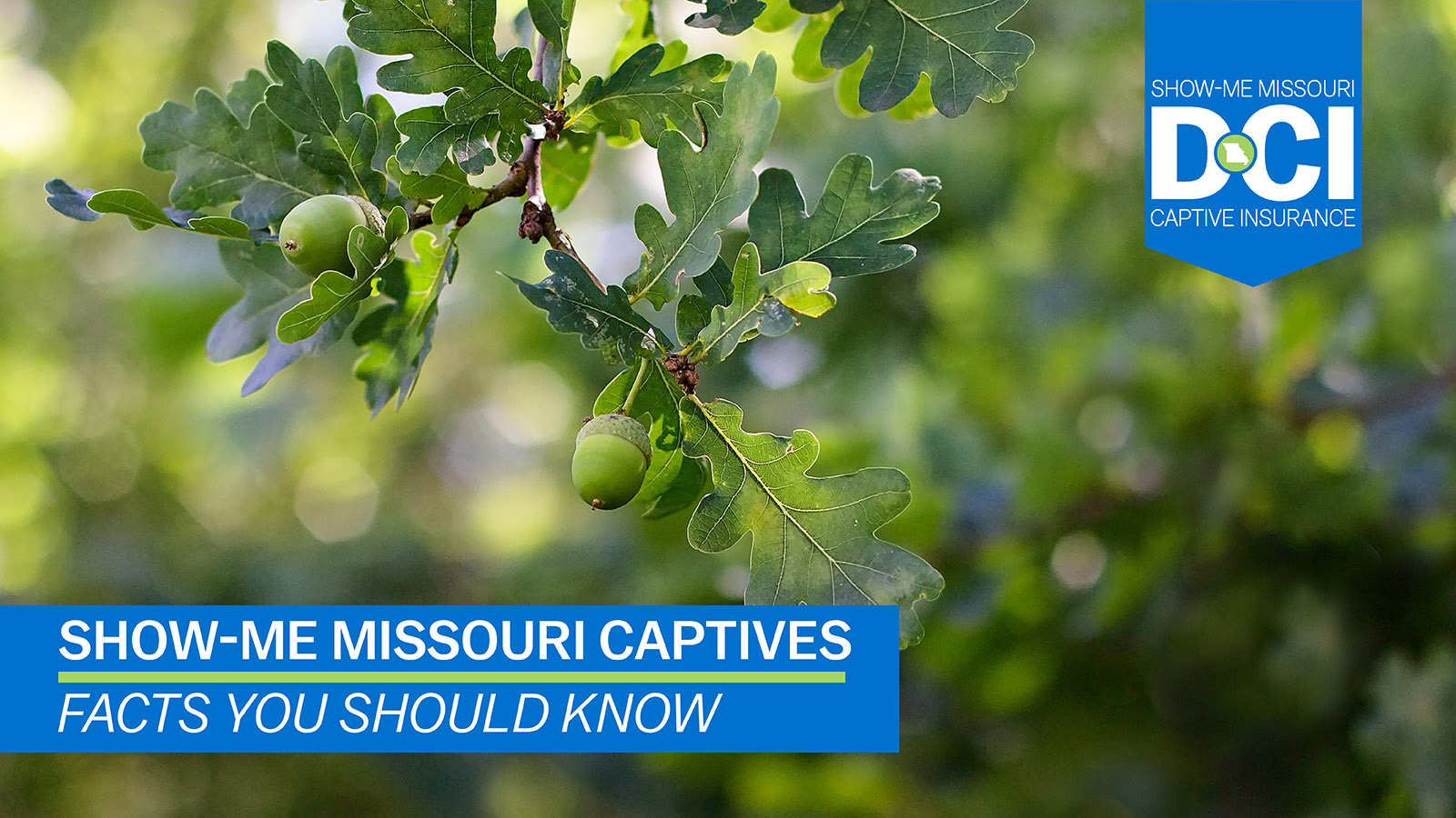 Show-Me Missouri Captives facts you should know